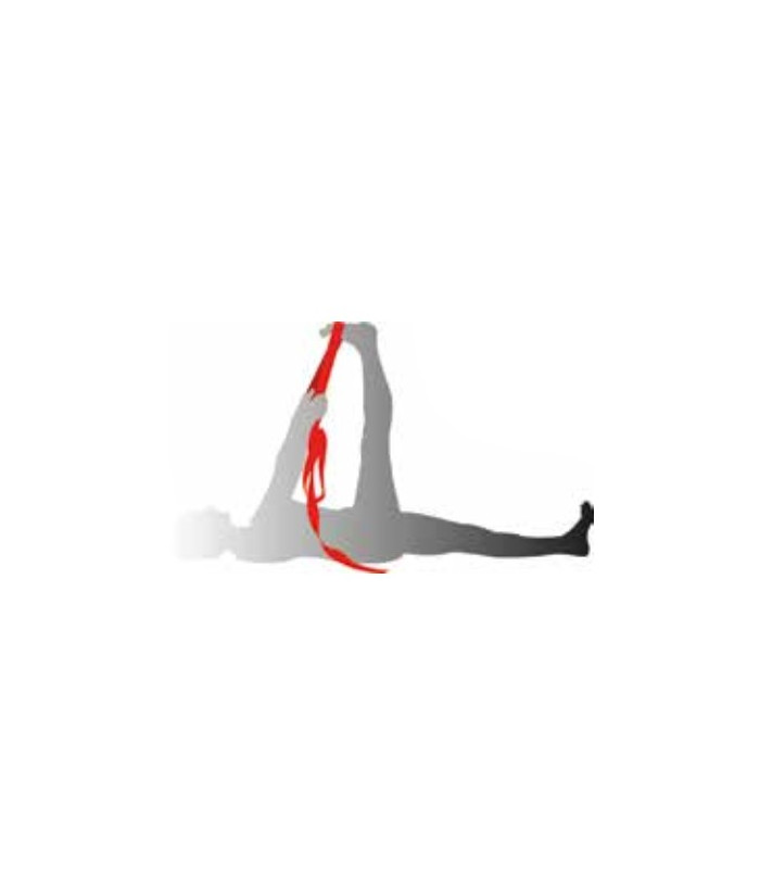 SANGLE YOGA in situ