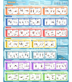 POSTER EXERCICES VOLUME MUSCULAIRE