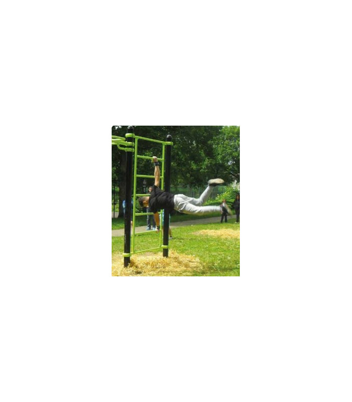 ESPALIER STREET WORKOUT EXE
