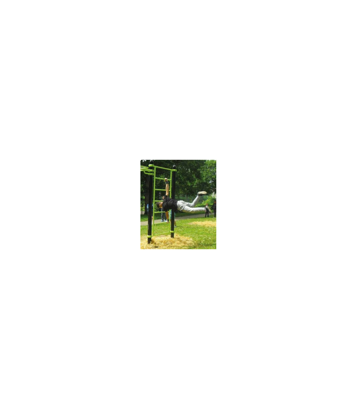 ESPALIER STREET WORKOUT EXE