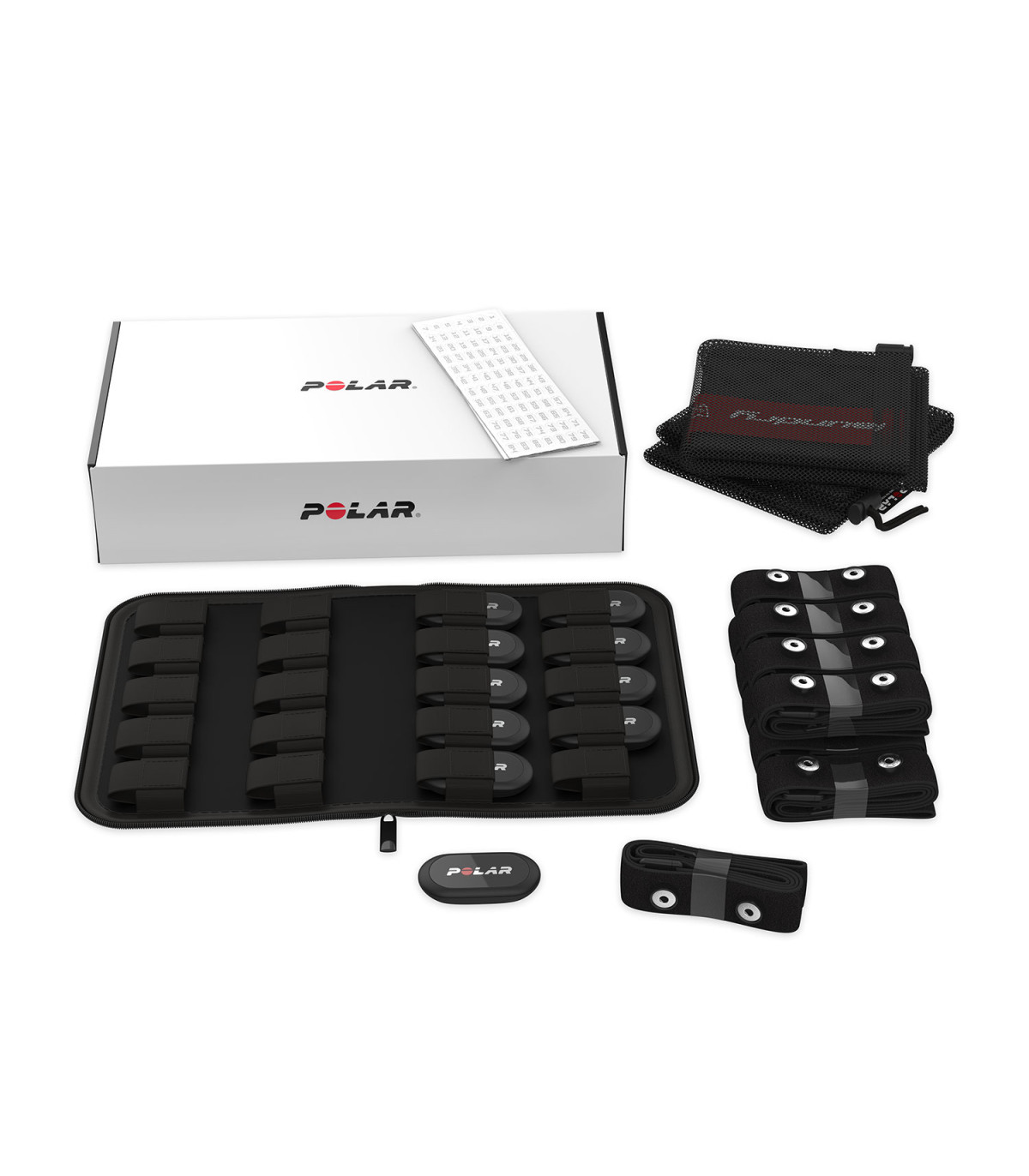 COFFRET 10 CEINTURES POLAR H10