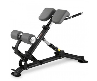 BANC MUSCULATION LOMBAIRES