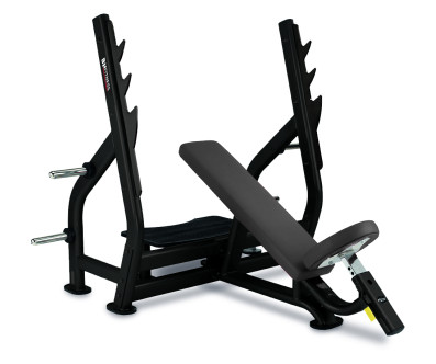 BANC MUSCULATION DÉVELOPPÉ INCLINÉ BH FITNESS L820BB