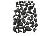 LOT DE 45 PRISES ESCALADE COLLECTIVITE-7