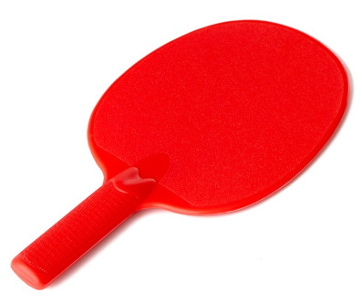 RAQUETTE LOISIR MONOBLOC