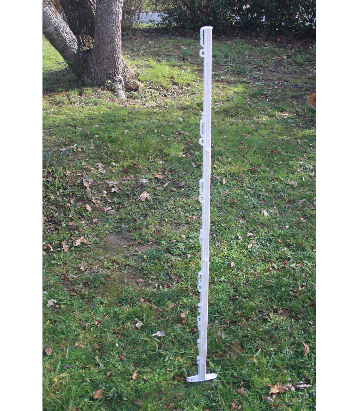 JALON CROSS COUNTRY 1,55 M