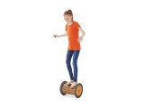 ROLLER D'EQUILIBREIN SITU