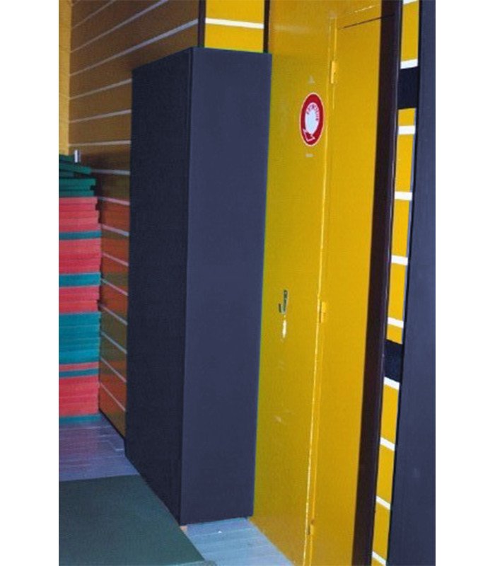 PROTECTION MURALE POUR GYMNASE