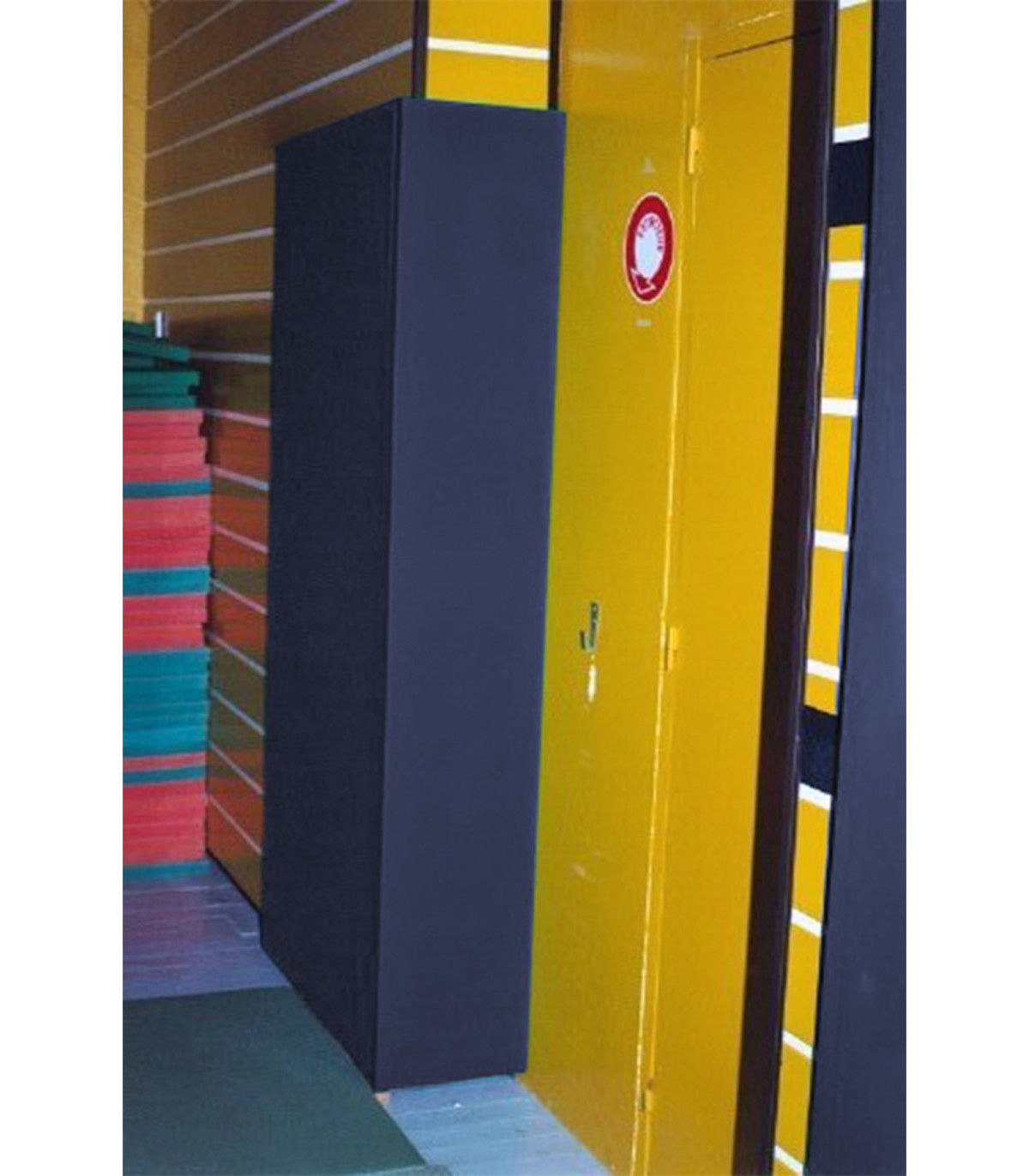 PROTECTION MURALE POUR GYMNASE