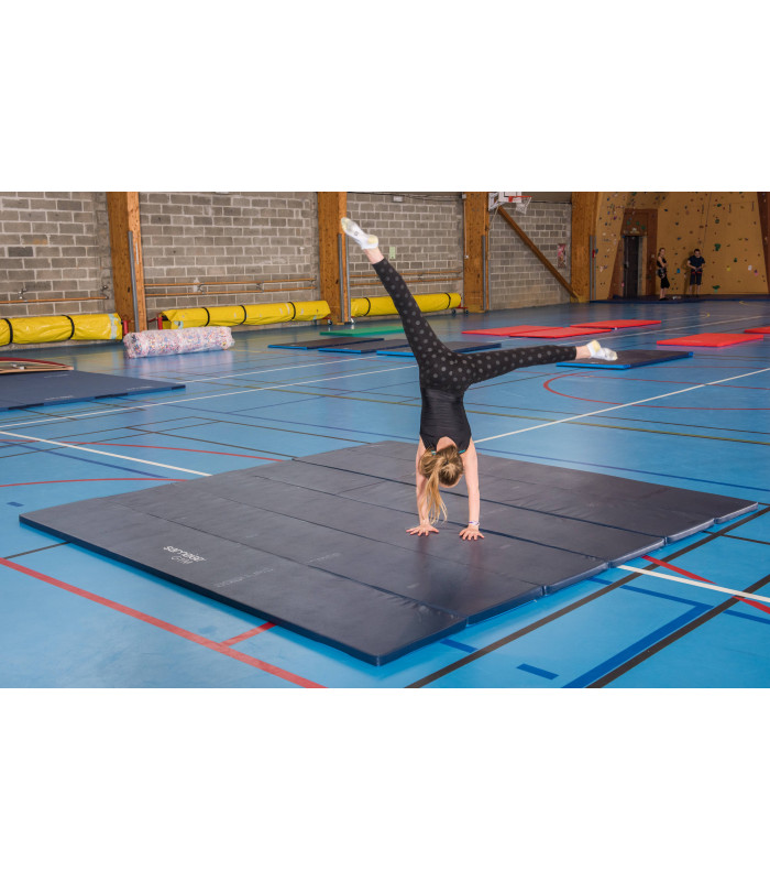 AIRE D'EVOLUTION GYMNASTIQUE SARNEIGE EN SITUATION