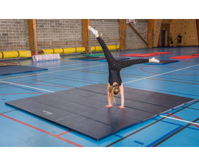AIRE D'EVOLUTION GYMNASTIQUE SARNEIGE EN SITUATION