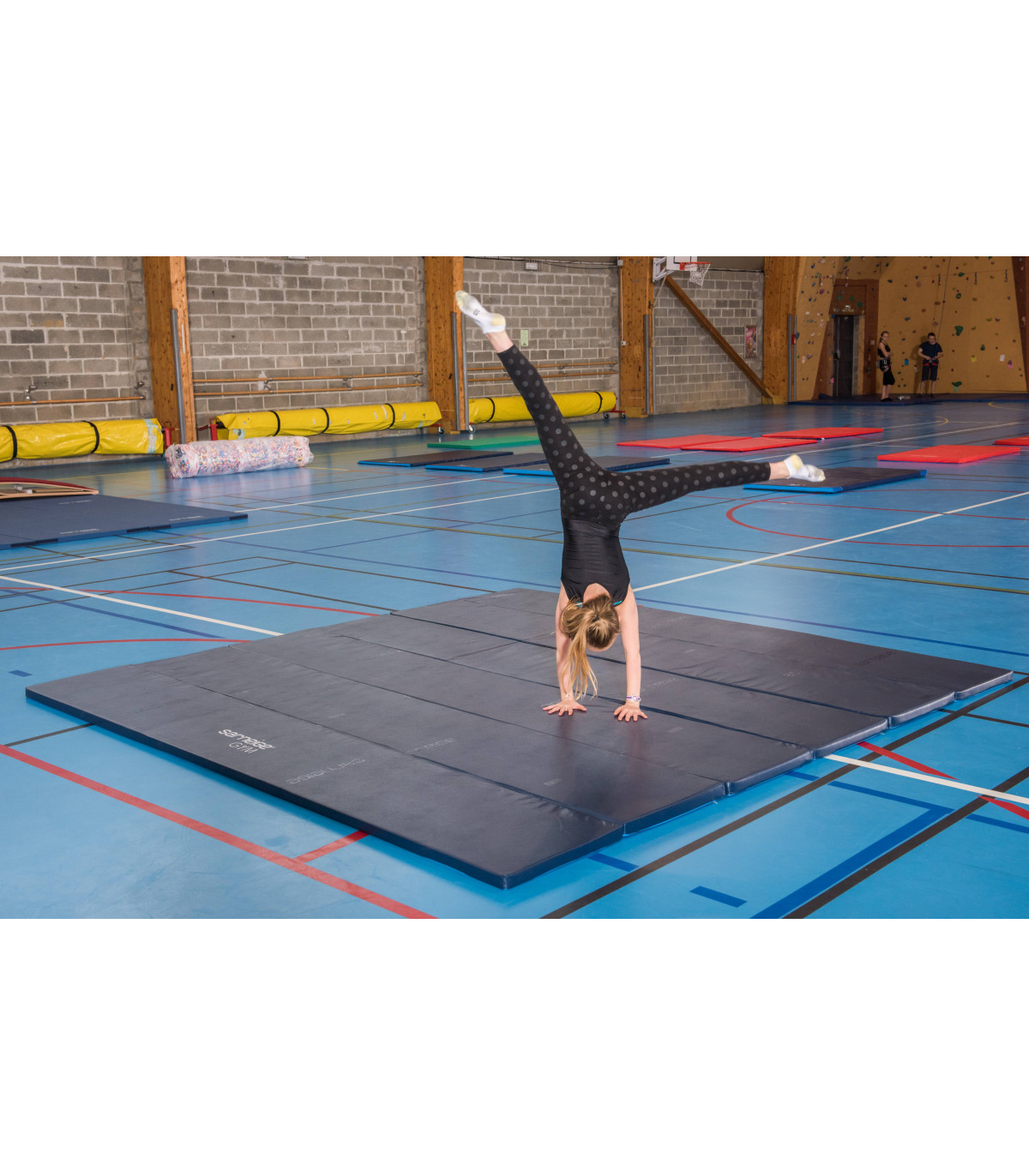 AIRE D'EVOLUTION GYMNASTIQUE SARNEIGE EN SITUATION