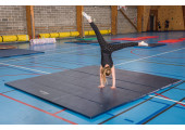 AIRE D'EVOLUTION ASSOCIATIVE SARNEIGE
