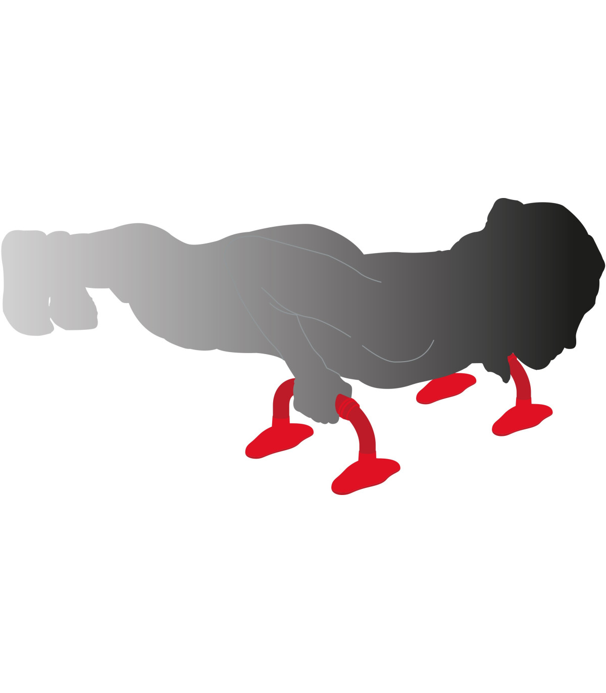 PUSH UP BARS EN SITUATION
