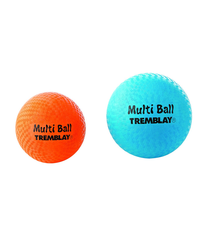 BALLON ECOLE MULTI-ACTIVITÉS