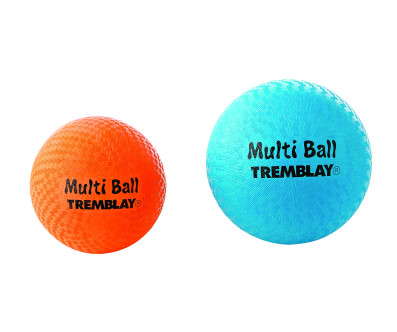 BALLON ECOLE MULTI-ACTIVITÉS