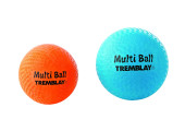 BALLON ECOLE MULTI-ACTIVITÉS