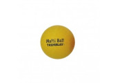 BALLON ECOLE MULTI-ACTIVITÉS JAUNE