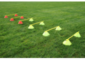 LOT DE 10 MINI-HAIES PLOTS FENDUS 15 CM