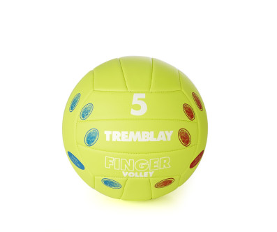 BALLON DE VOLLEY INITIATION
