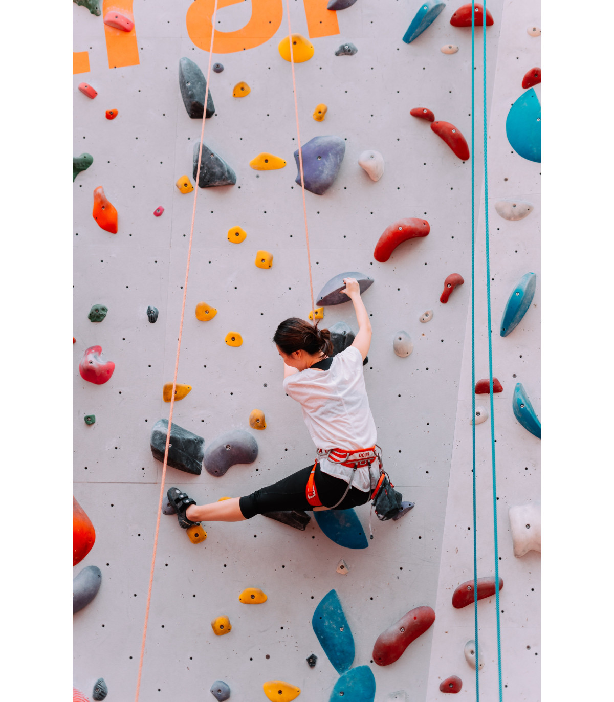 TAPIS DE CHUTE POUR MUR D ESCALADE