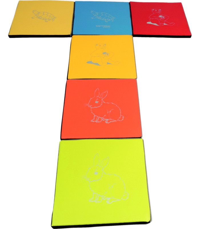 DALLE DE SOL FIGURATIVES