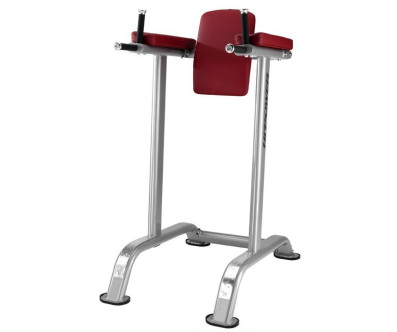 CHAISE ROMAINE DIPS ET ABDOMINAUX