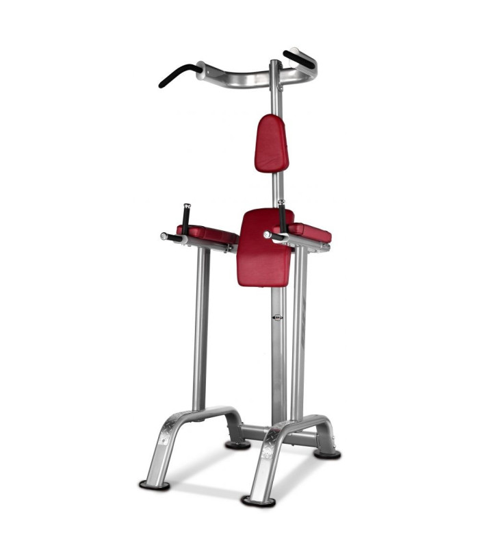 CHAISE ROMAINE DIPS ABDOMINAUX ET TRACTIONS