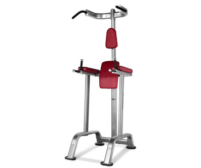 CHAISE ROMAINE DIPS ABDOMINAUX ET TRACTIONS