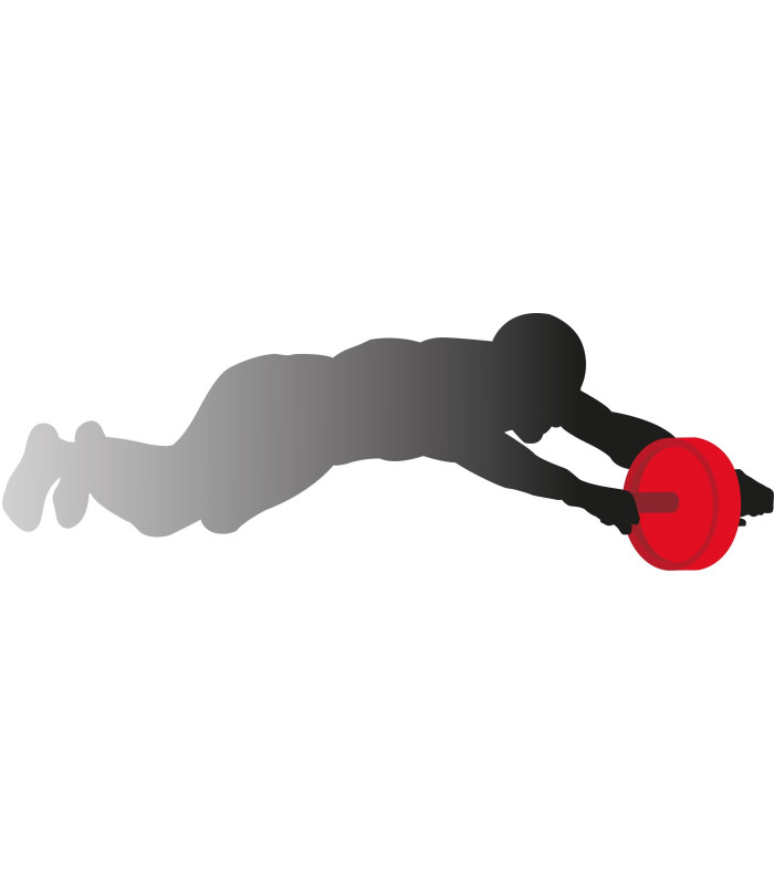 AB WHEEL AVEC FREIN in situ