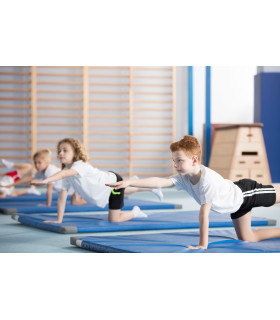 Matériel & Équipement de Gymnastique pour les clubs et les collectivités