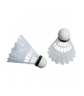 Volants Badminton Initiation