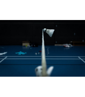 Poteaux de Badminton