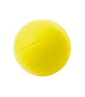 Ballon de Volley Initiation