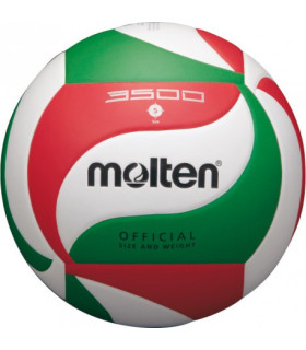 Ballons de Volley Entraînement