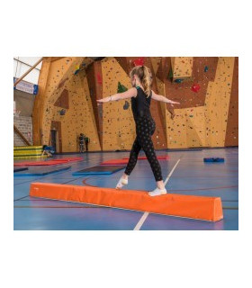 Modules initiation gymnastique