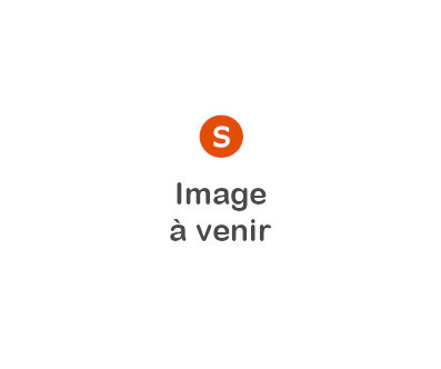 Option organes de visée ajustables sans fibre optique