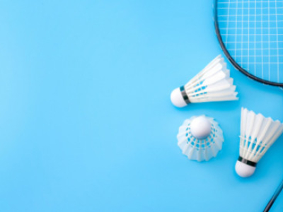 Comment choisir son volant de badminton ?